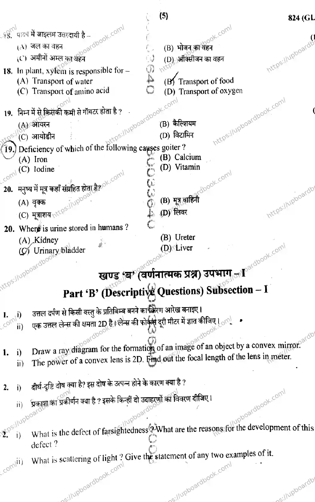 UP Board Class 10th SCIENCE-824-GL Previous Year Question Paper Image 5