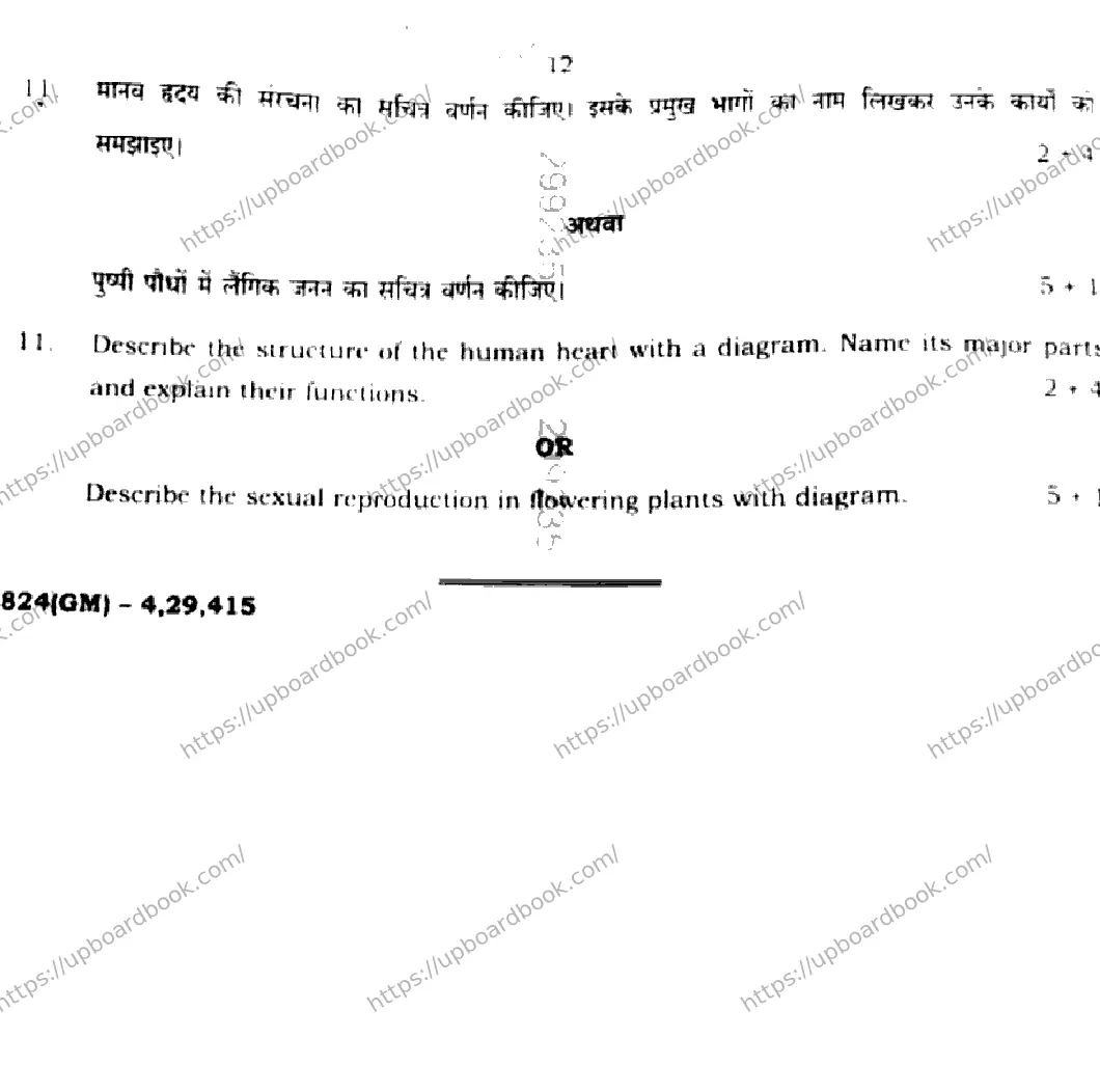 UP Board Class 10th SCIENCE-824-GM Previous Year Question Paper Image 12