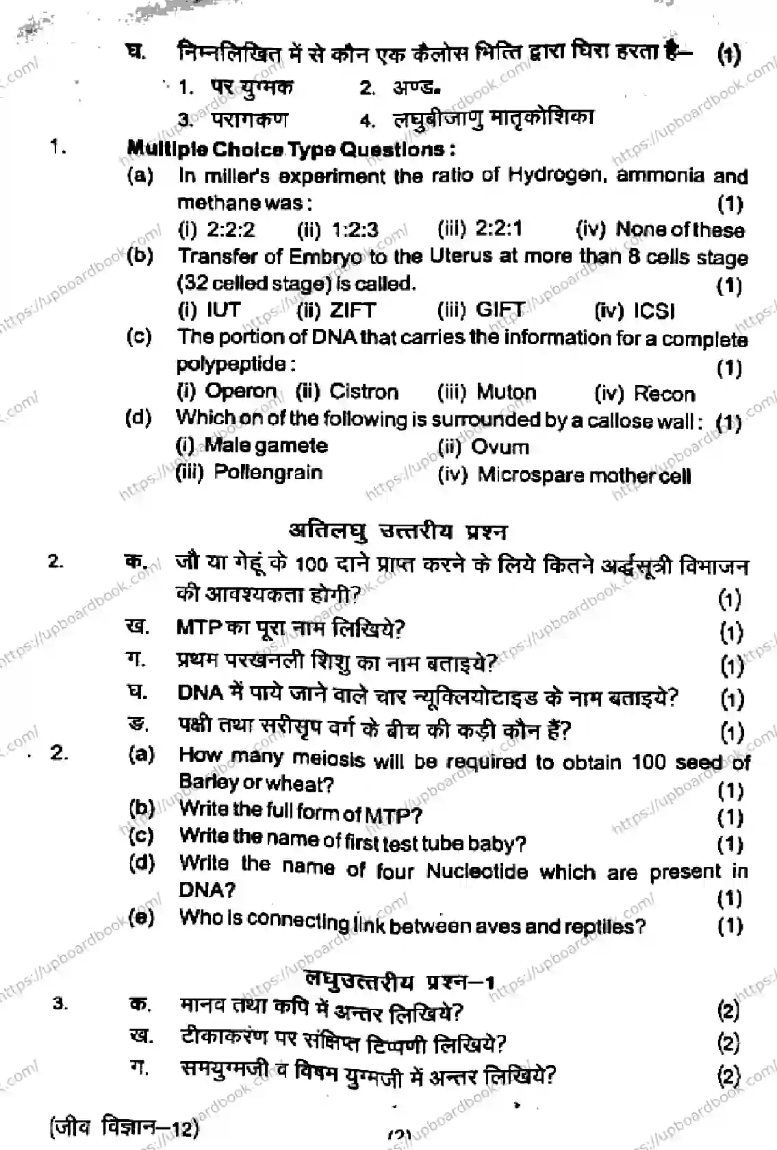 UP Board Class 12th BIOLOGY-281125 Previous Year Question Paper Image 2