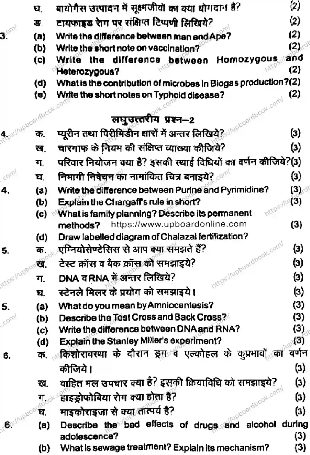 UP Board Class 12th BIOLOGY-281125 Previous Year Question Paper Image 3