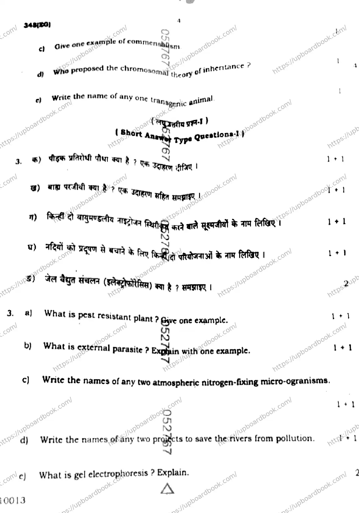 UP Board Class 12th BIOLOGY-348-EG Previous Year Question Paper Image 4