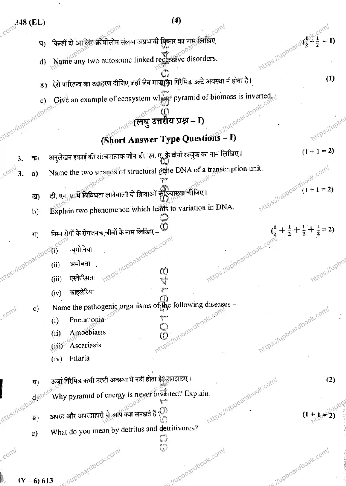 UP Board Class 12th BIOLOGY-348-EL Previous Year Question Paper Image 4