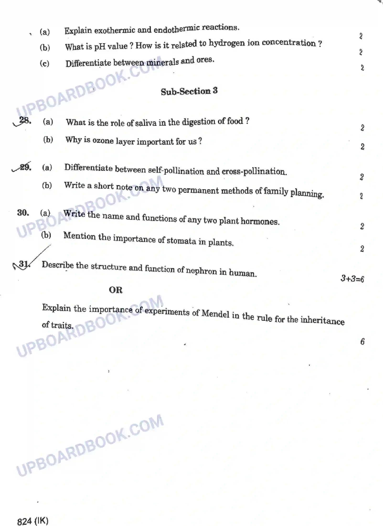 UP Board Class 10th Science - 824-IK - 2024 Previous Year Question Paper Image 12