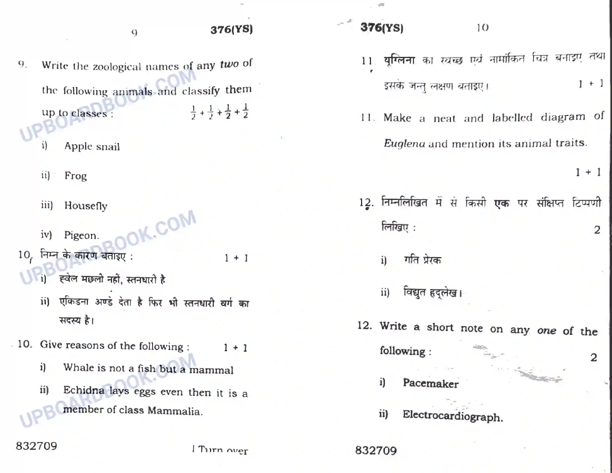 UP Board Class 12th Biology 2016 (376 YS) Previous Year Question Paper Image 5