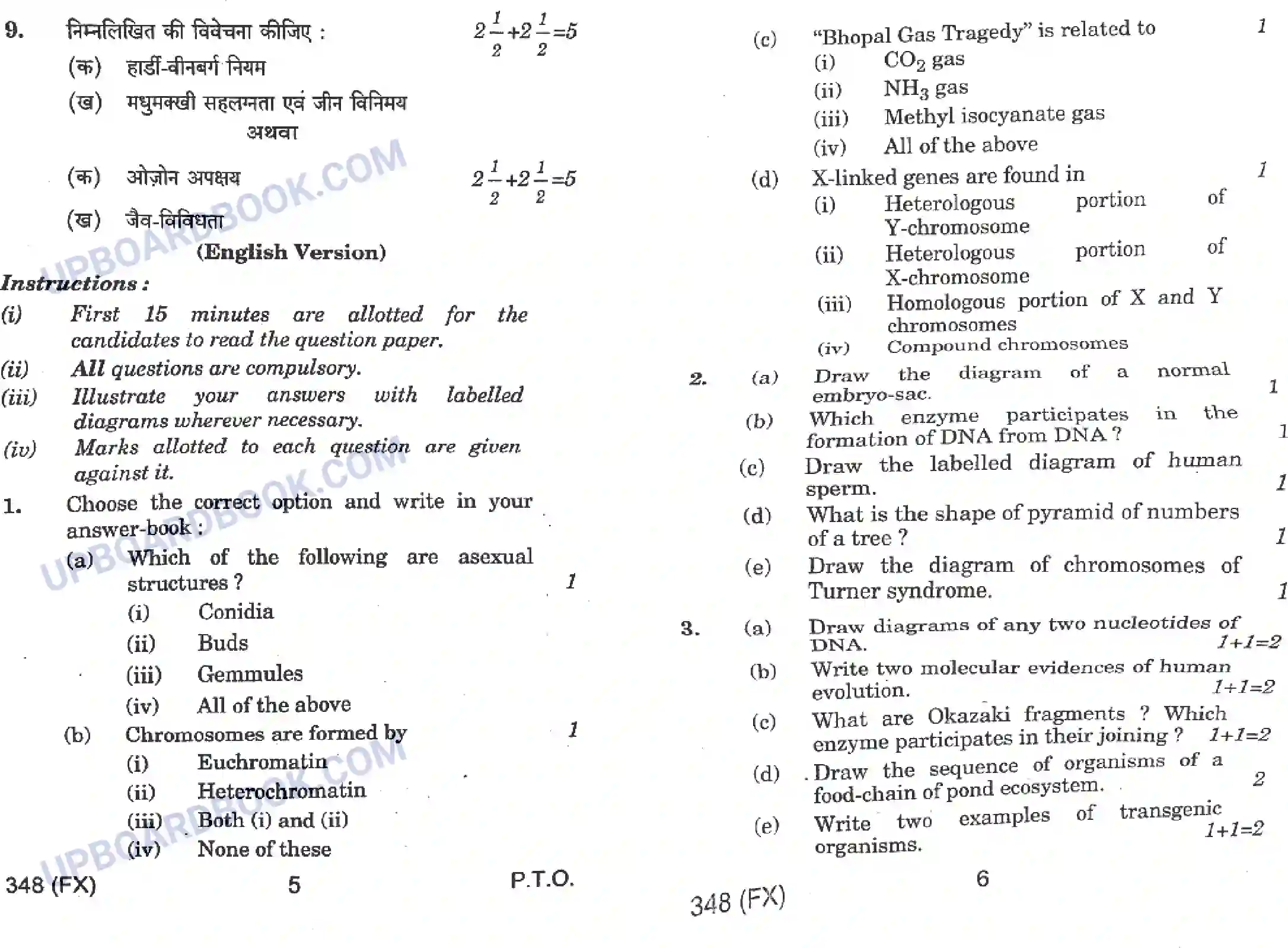 UP Board Class 12th Biology 2019 (348 FX) Previous Year Question Paper Image 3