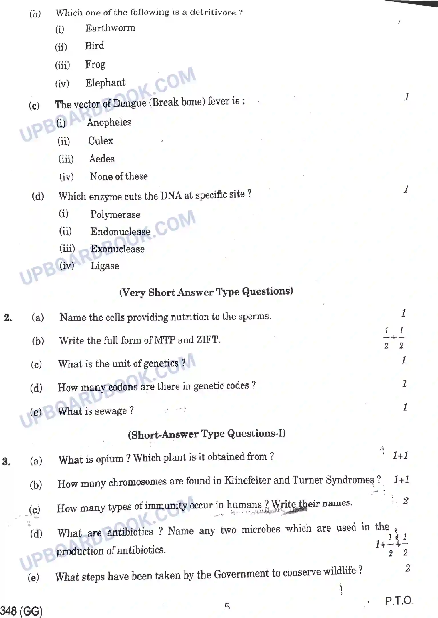 UP Board Class 12th Biology - 348-GG - 2024 Previous Year Question Paper Image 5