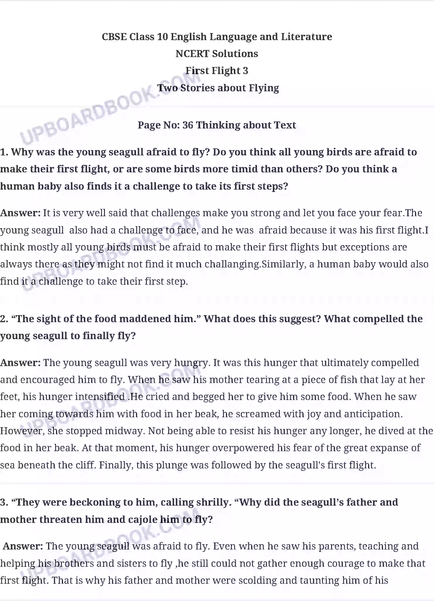 UP Board Solution class 10 English 3. Two Stories about Flying Image 1