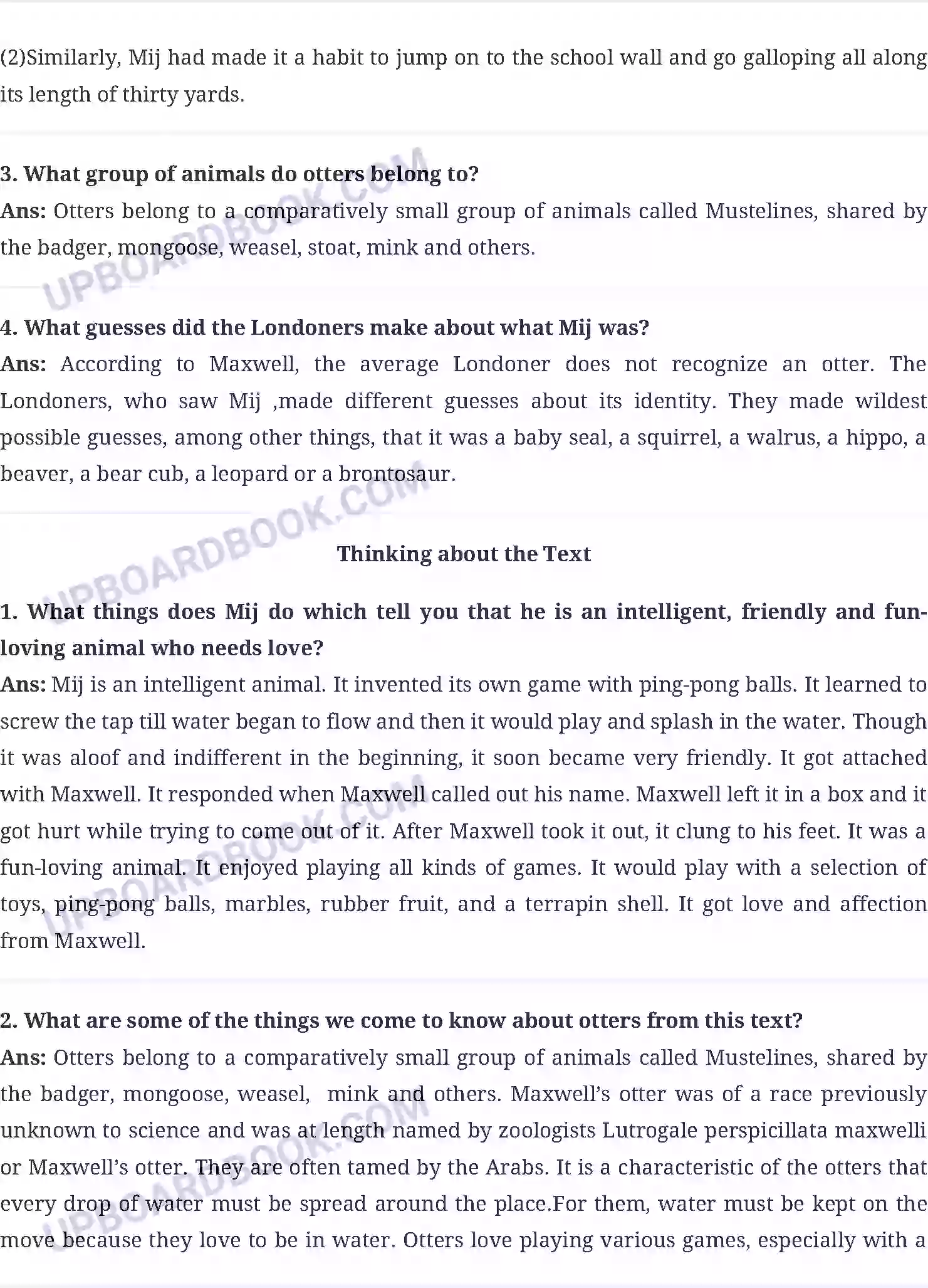 UP Board Solution Class 10 English 8. Mijbil the Otter Image 4