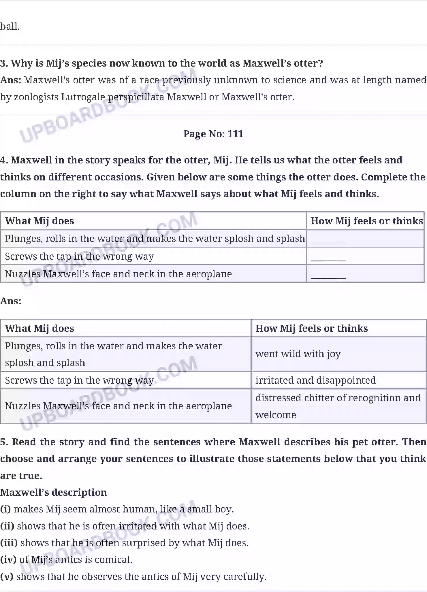 UP Board Solution Class 10 English 8. Mijbil the Otter Image 5