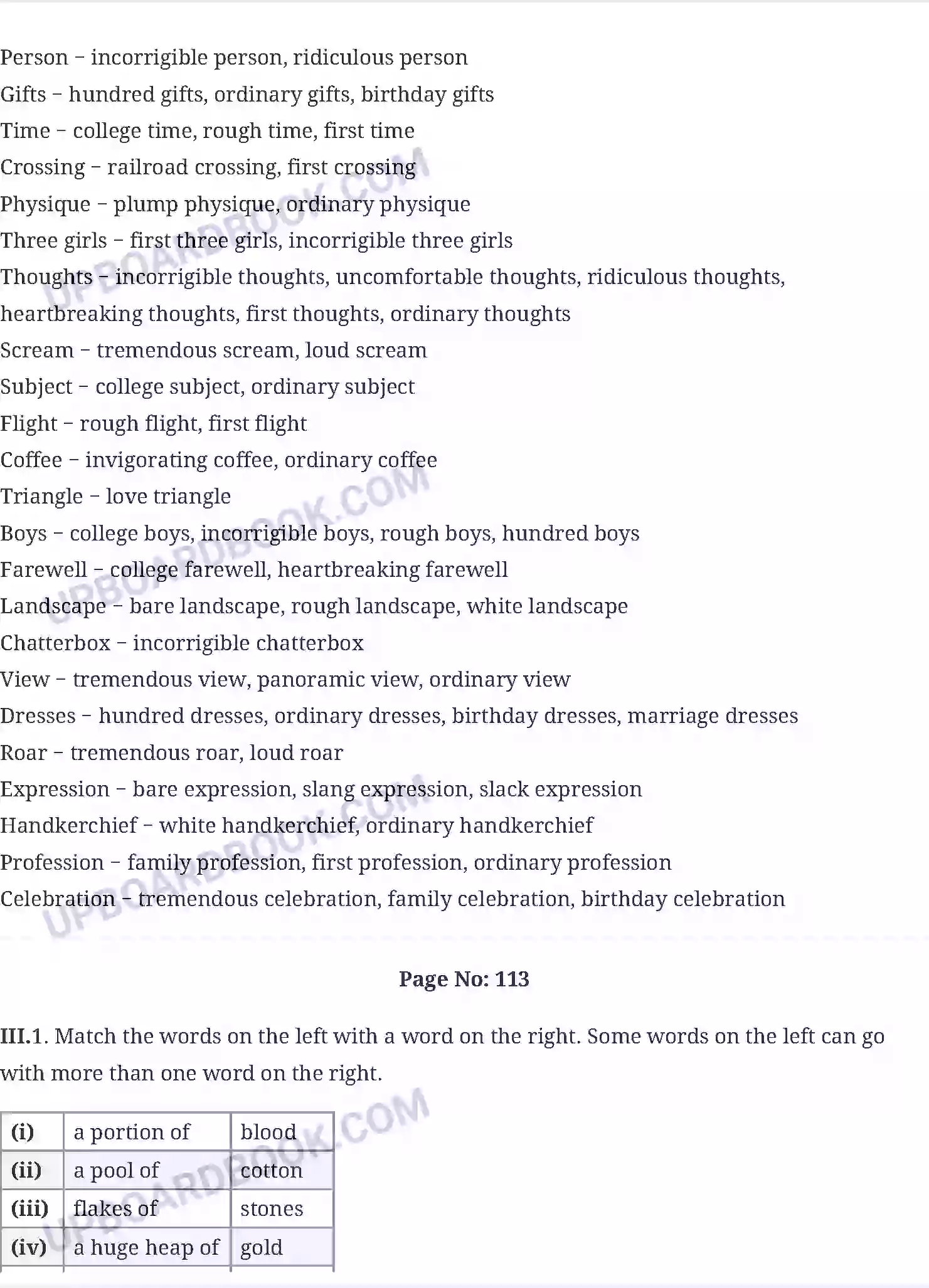 UP Board Solution Class 10 English 8. Mijbil the Otter Image 8