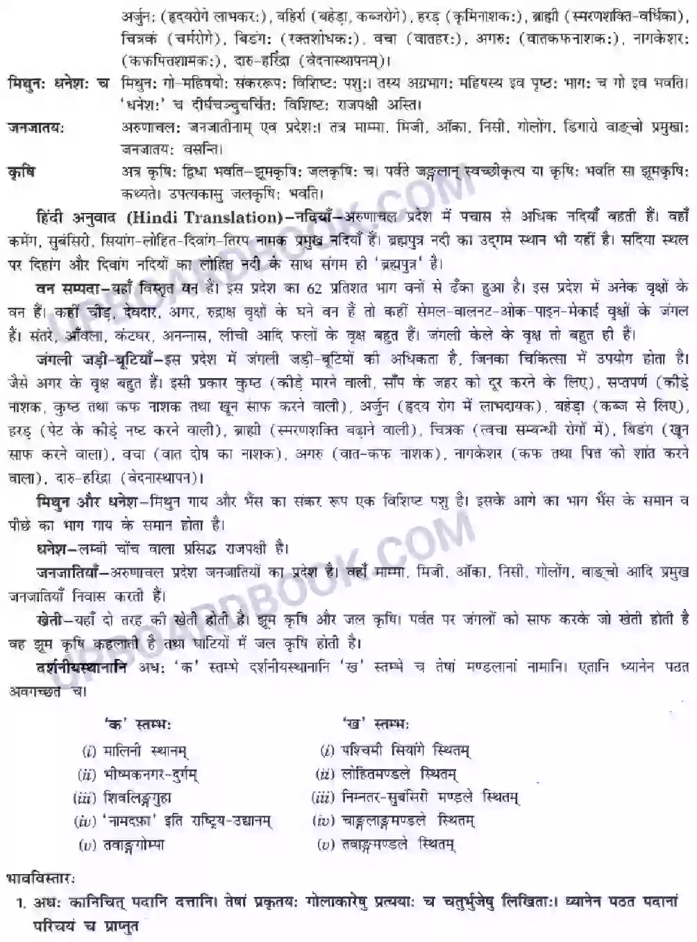 UP Board Solution Class 10 Hindi 10. सुस्वागत भो ! अरुणाचलेऽस्मिन् Image 10