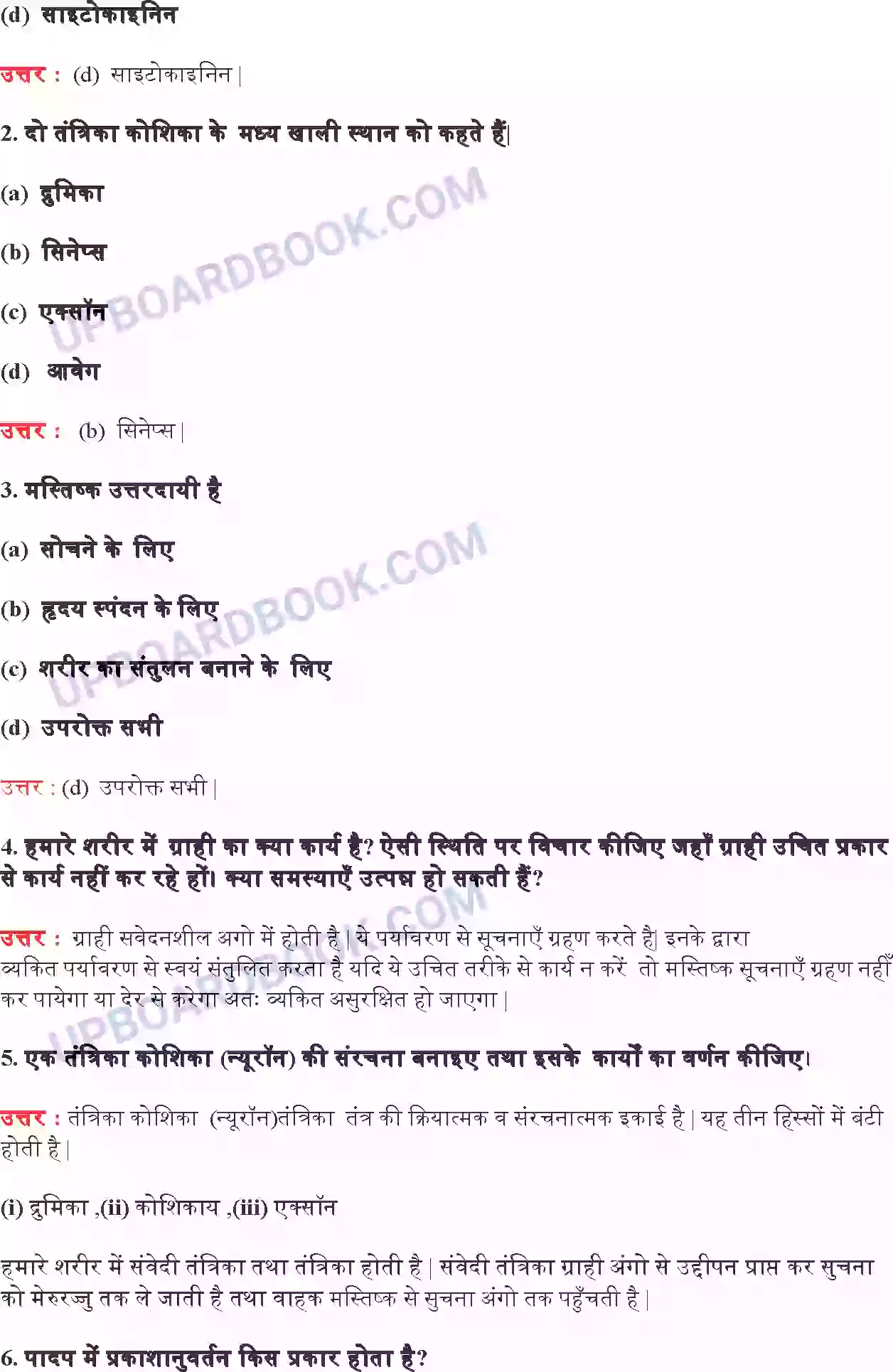 UP Board Solution Class 10 Science 7. नियंत्रण एवं समन्वय Image 3