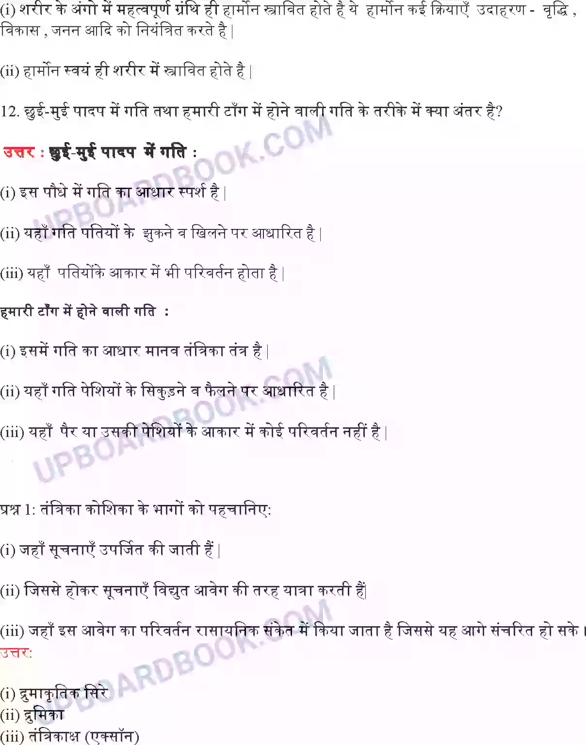 UP Board Solution Class 10 Science 7. नियंत्रण एवं समन्वय Image 5