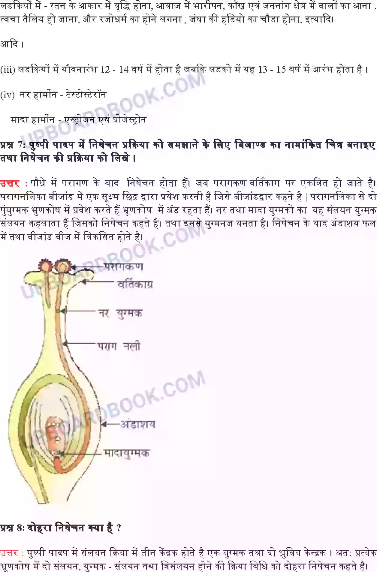 UP Board Solution class 10 Science 8. जीव जनन कैसे करते हैं Image 8