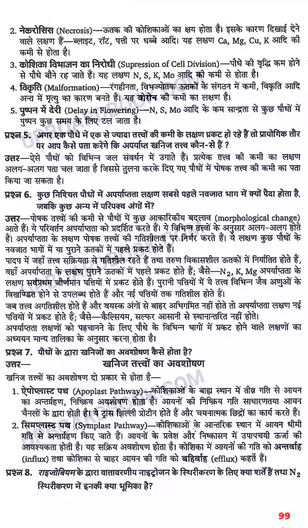 UP Board Solution class 11 Biology 12. खनिज पोषण Image 2