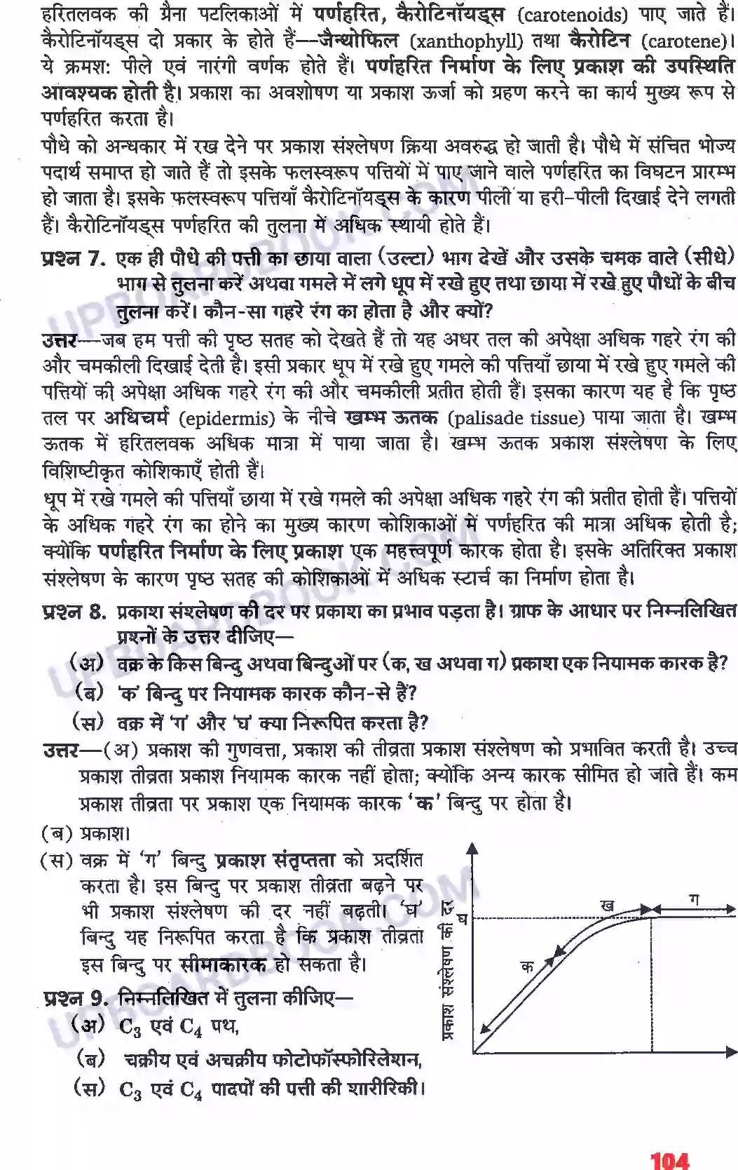 UP Board Solution class 11 Biology 13. उच्च पादपों में प्रकाश-संश्लेषण Image 3