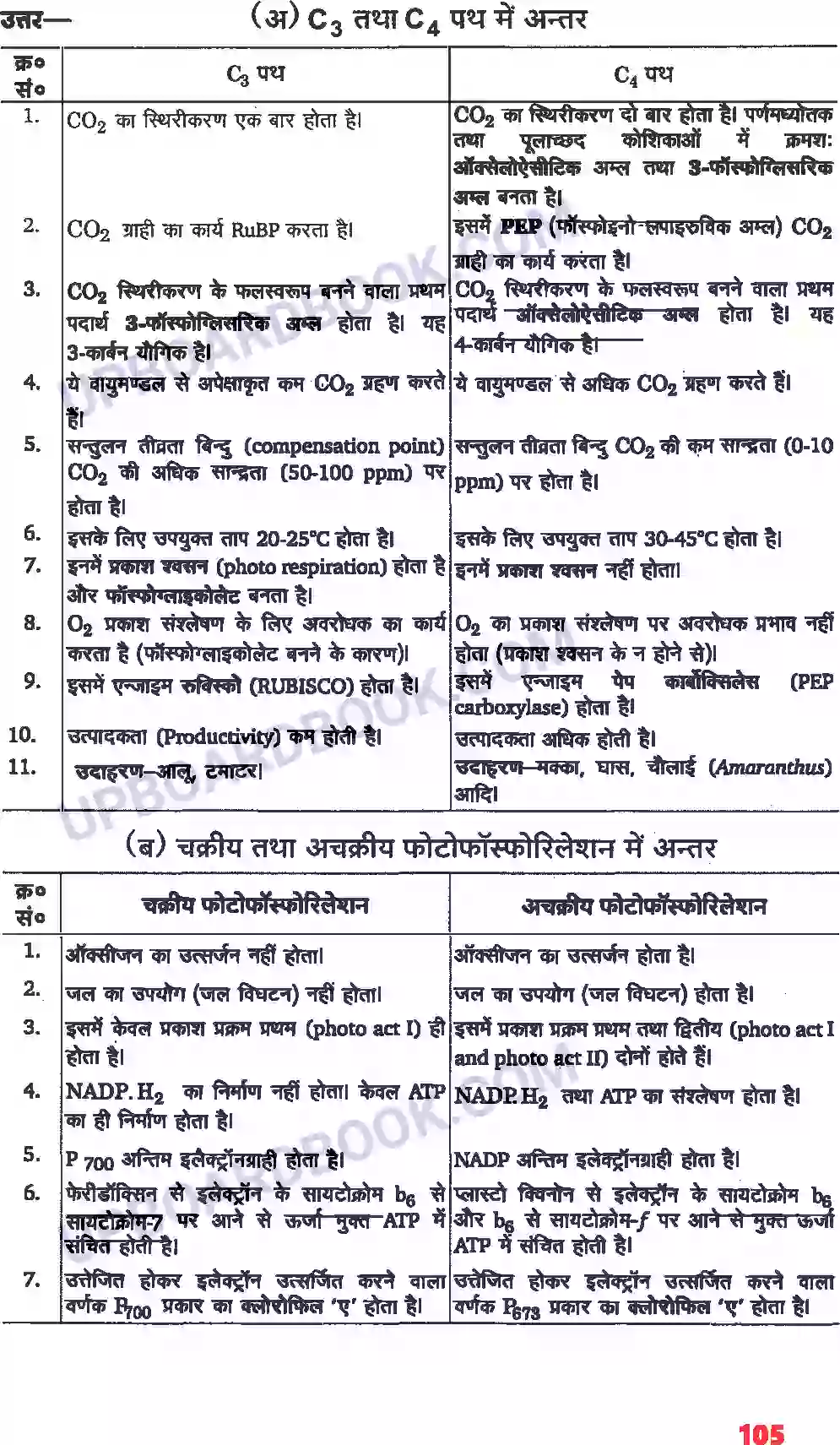 UP Board Solution class 11 Biology 13. उच्च पादपों में प्रकाश-संश्लेषण Image 4