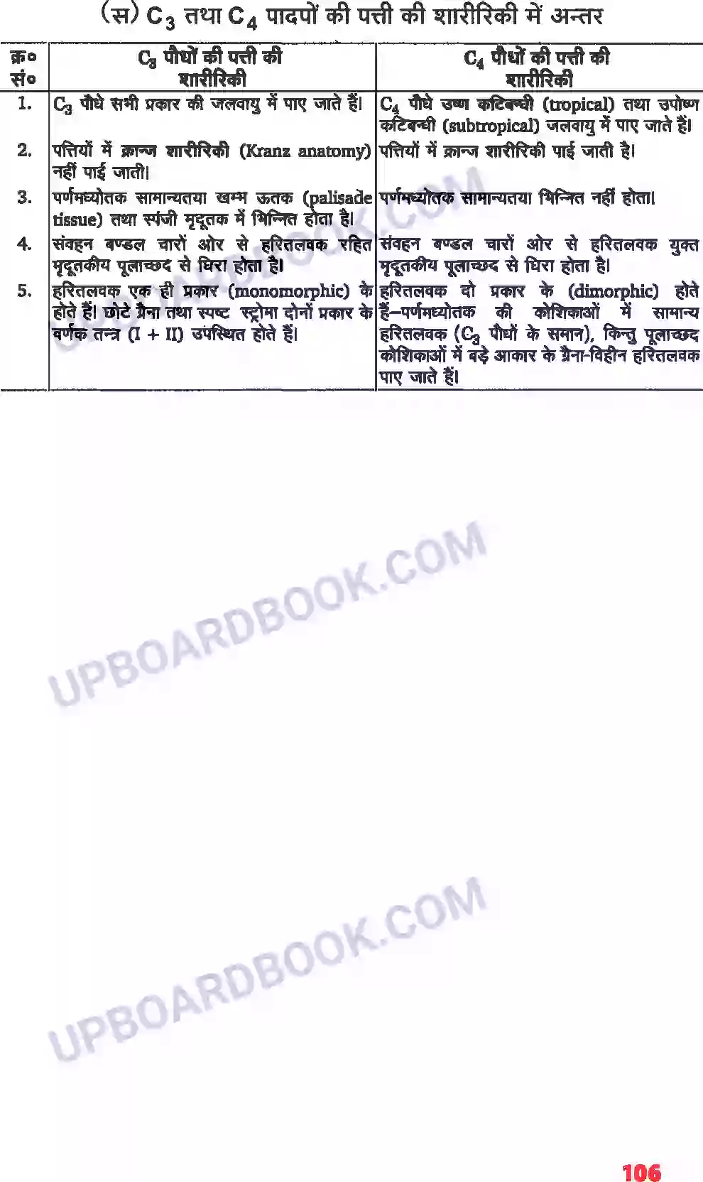 UP Board Solution class 11 Biology 13. उच्च पादपों में प्रकाश-संश्लेषण Image 5