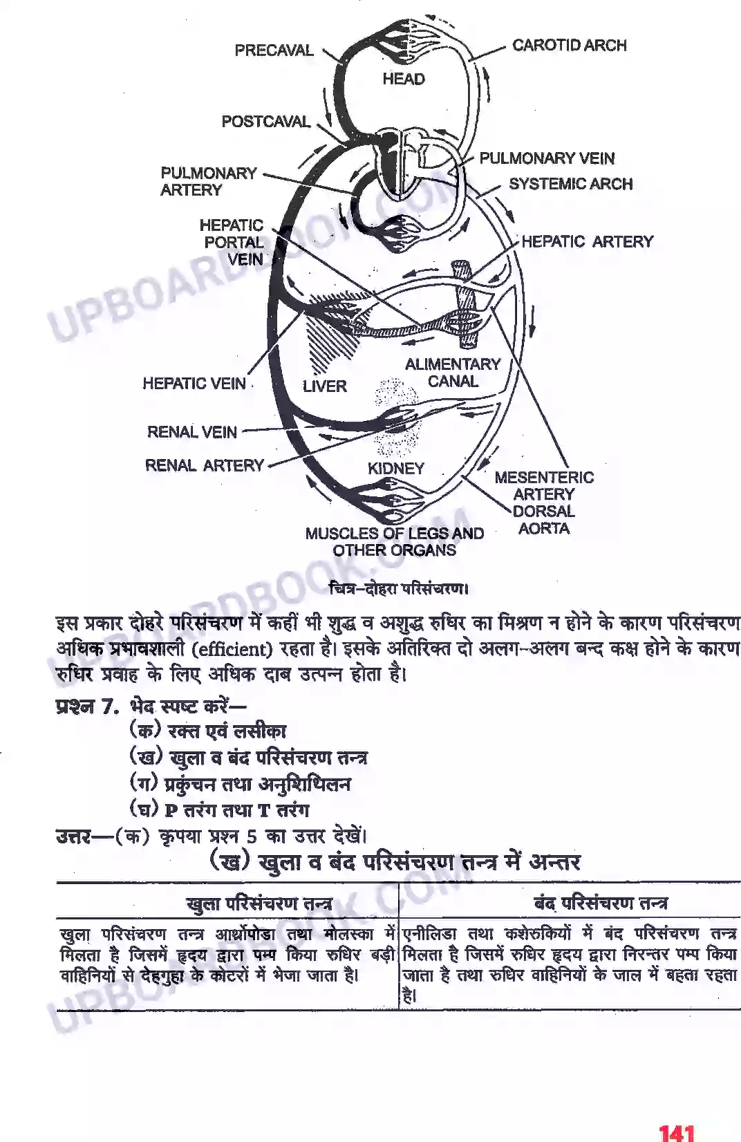 UP Board Solution class 11 Biology 18. शरीर द्रव तथा परिसंचरण Image 4