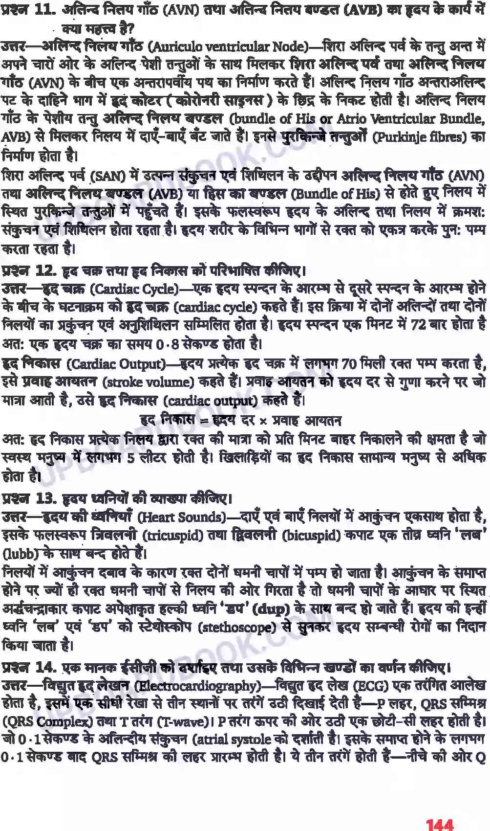 UP Board Solution class 11 Biology 18. शरीर द्रव तथा परिसंचरण Image 7