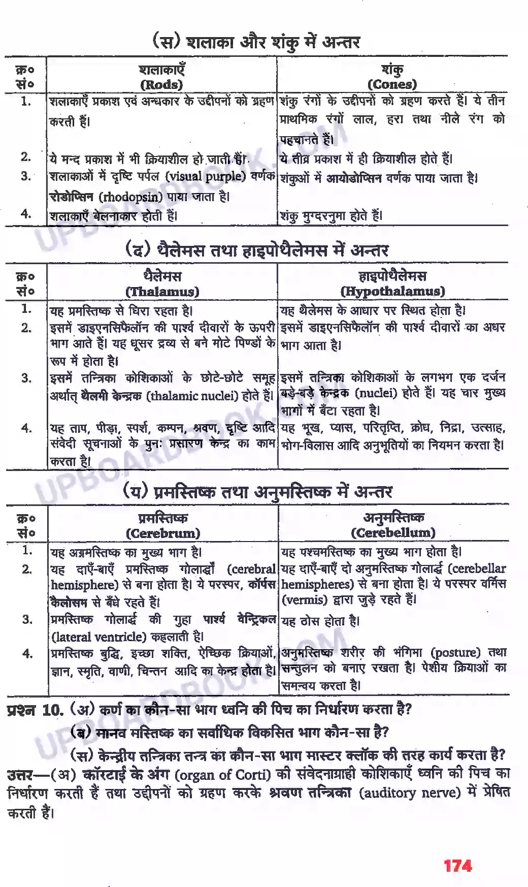 UP Board Solution class 11 Biology 21. तंत्रिकीय नियंत्रण एवं समन्वय Image 18