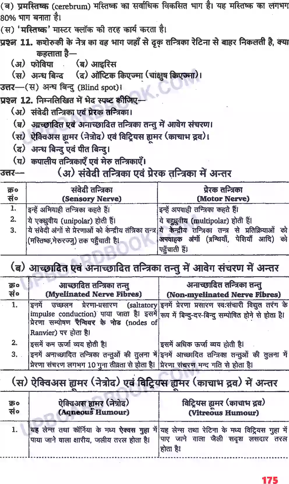 UP Board Solution class 11 Biology 21. तंत्रिकीय नियंत्रण एवं समन्वय Image 19
