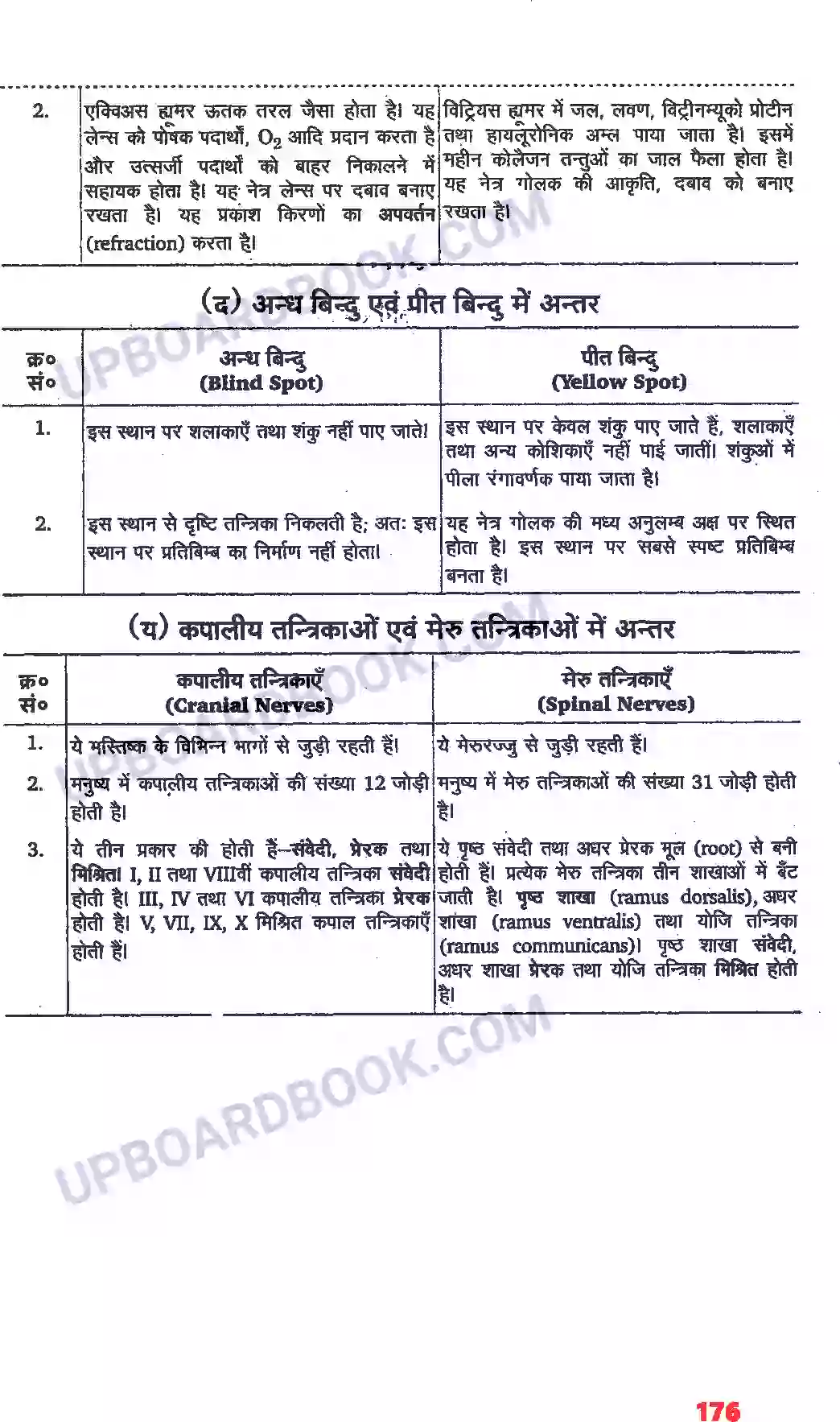 UP Board Solution class 11 Biology 21. तंत्रिकीय नियंत्रण एवं समन्वय Image 20