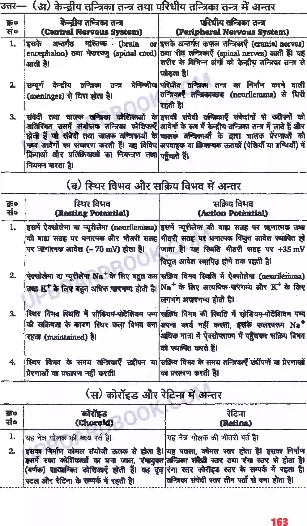 UP Board Solution class 11 Biology 21. तंत्रिकीय नियंत्रण एवं समन्वय Image 7