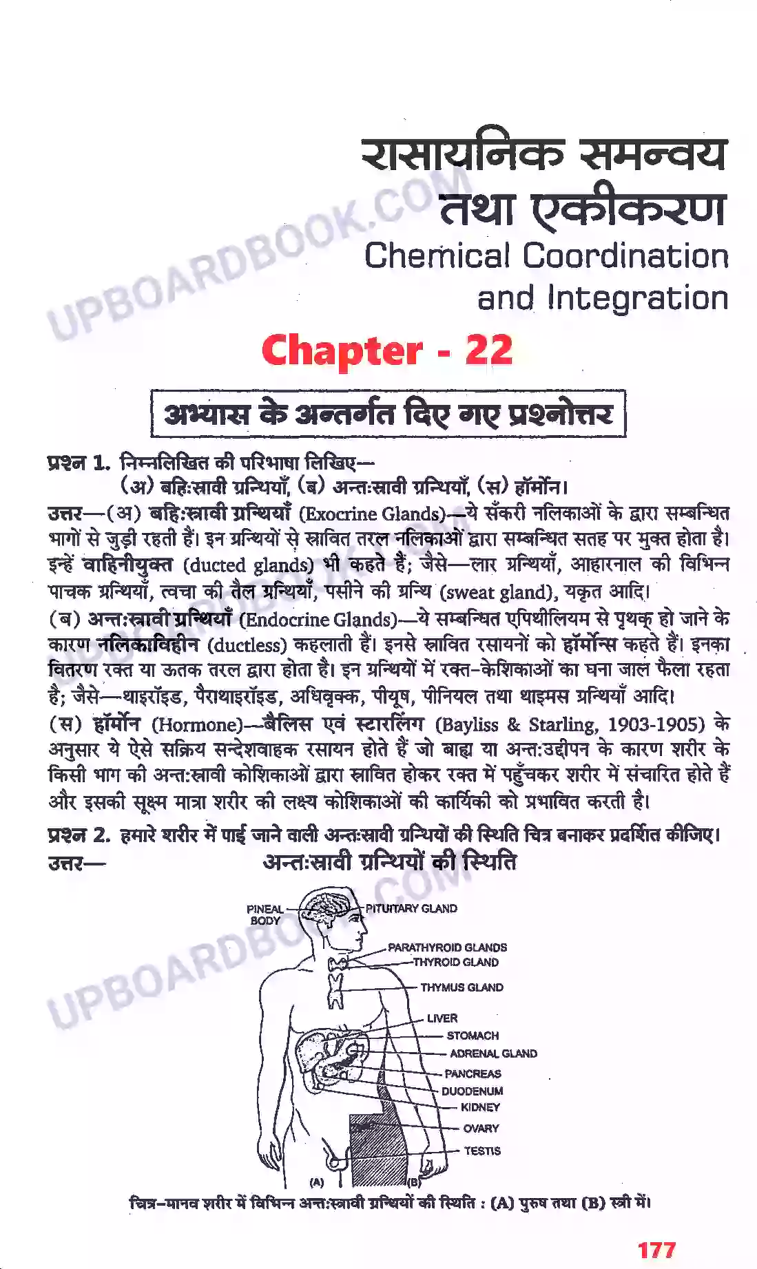 UP Board Solution Class 11 Biology 22. रासायनिक समन्वय तथा एकीकरण Image 1