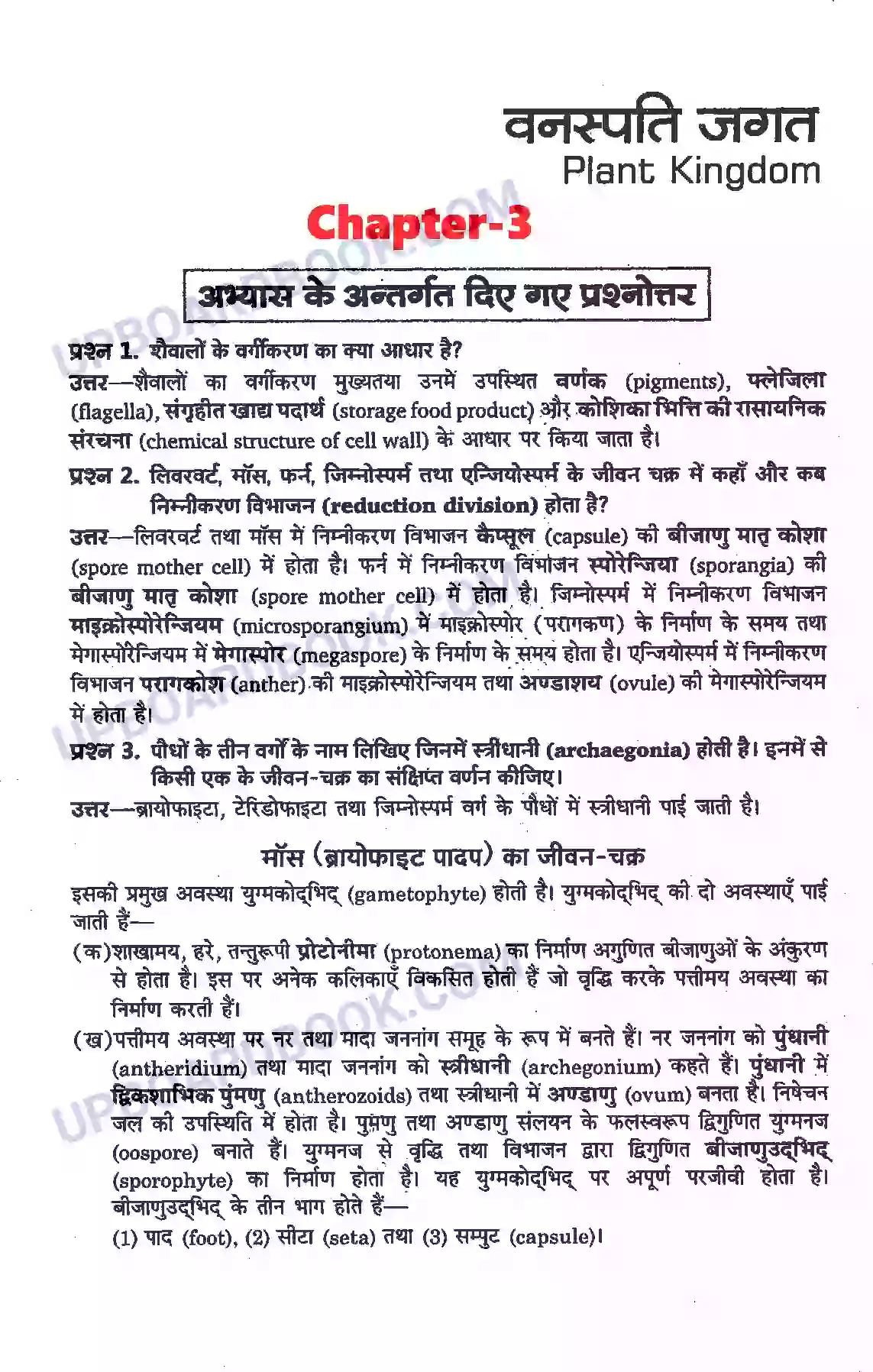 UP Board Solution class 11 Biology 3. वनस्पति जगत Image 1