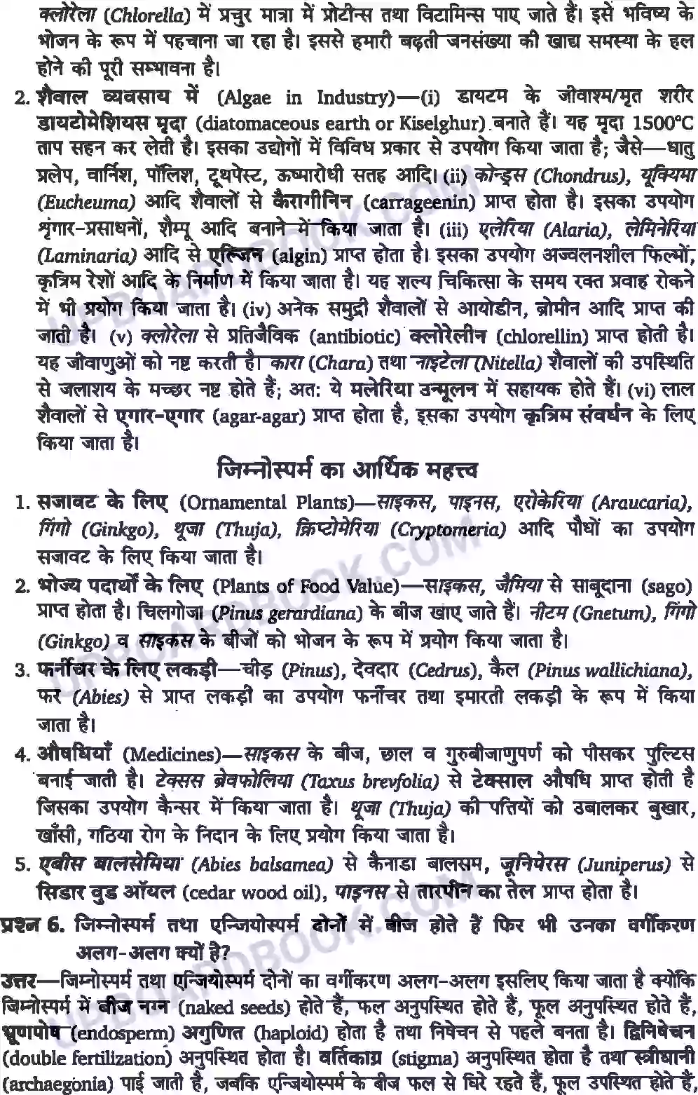 UP Board Solution class 11 Biology 3. वनस्पति जगत Image 3