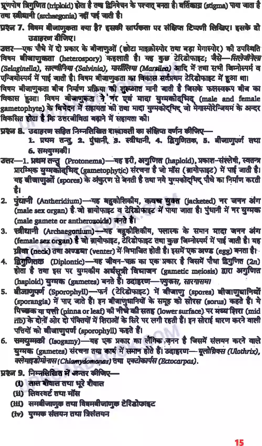 UP Board Solution class 11 Biology 3. वनस्पति जगत Image 4