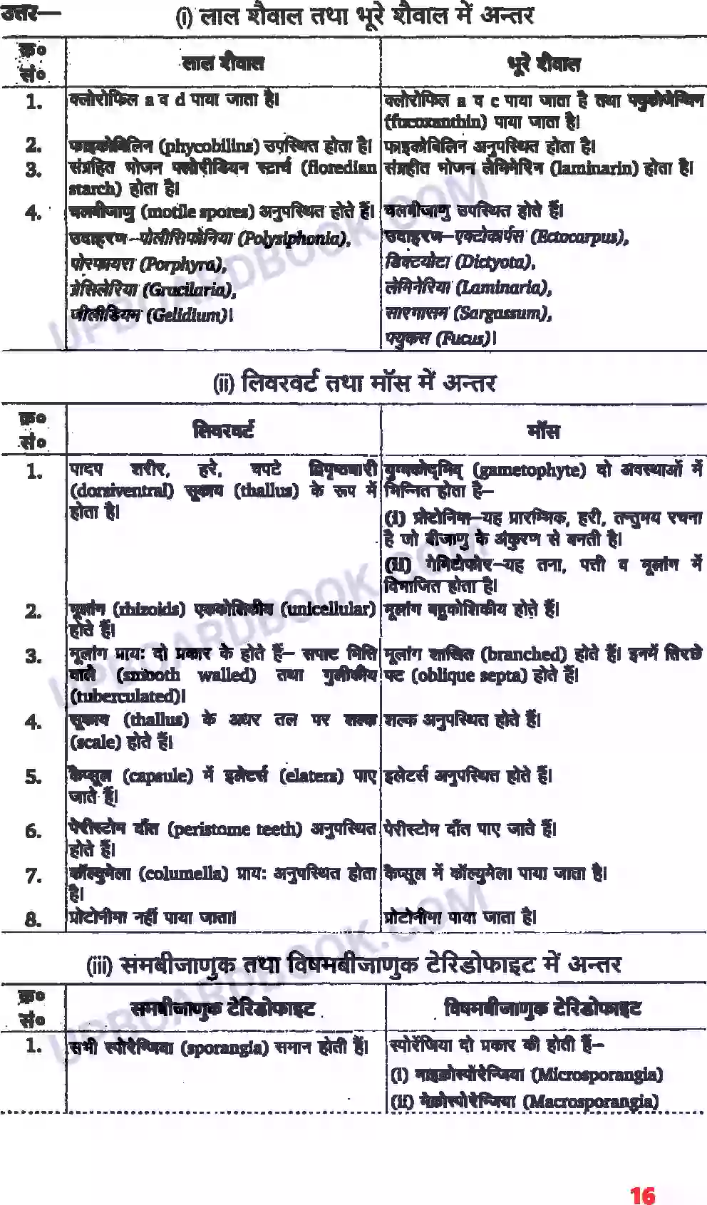 UP Board Solution class 11 Biology 3. वनस्पति जगत Image 5