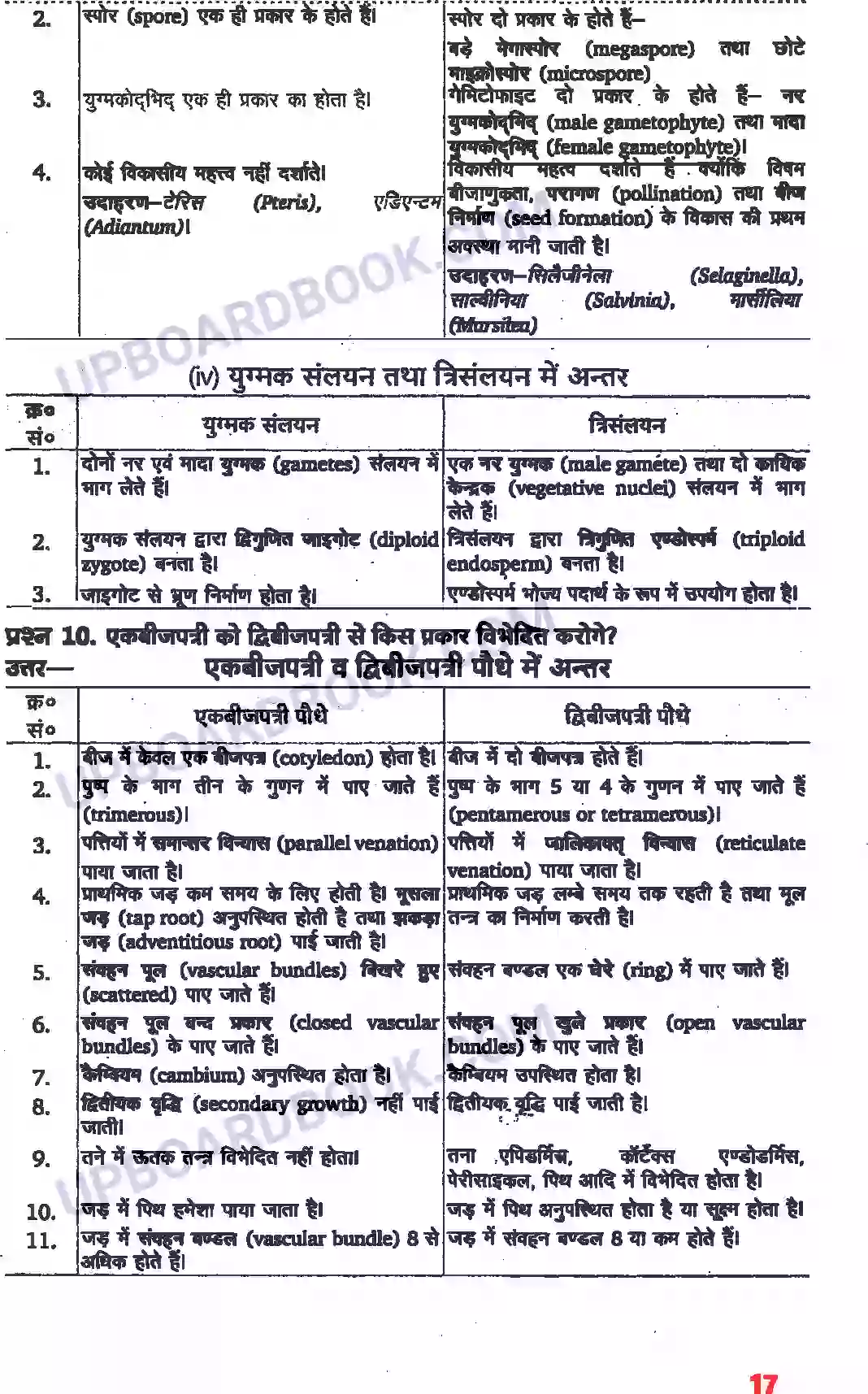 UP Board Solution class 11 Biology 3. वनस्पति जगत Image 6