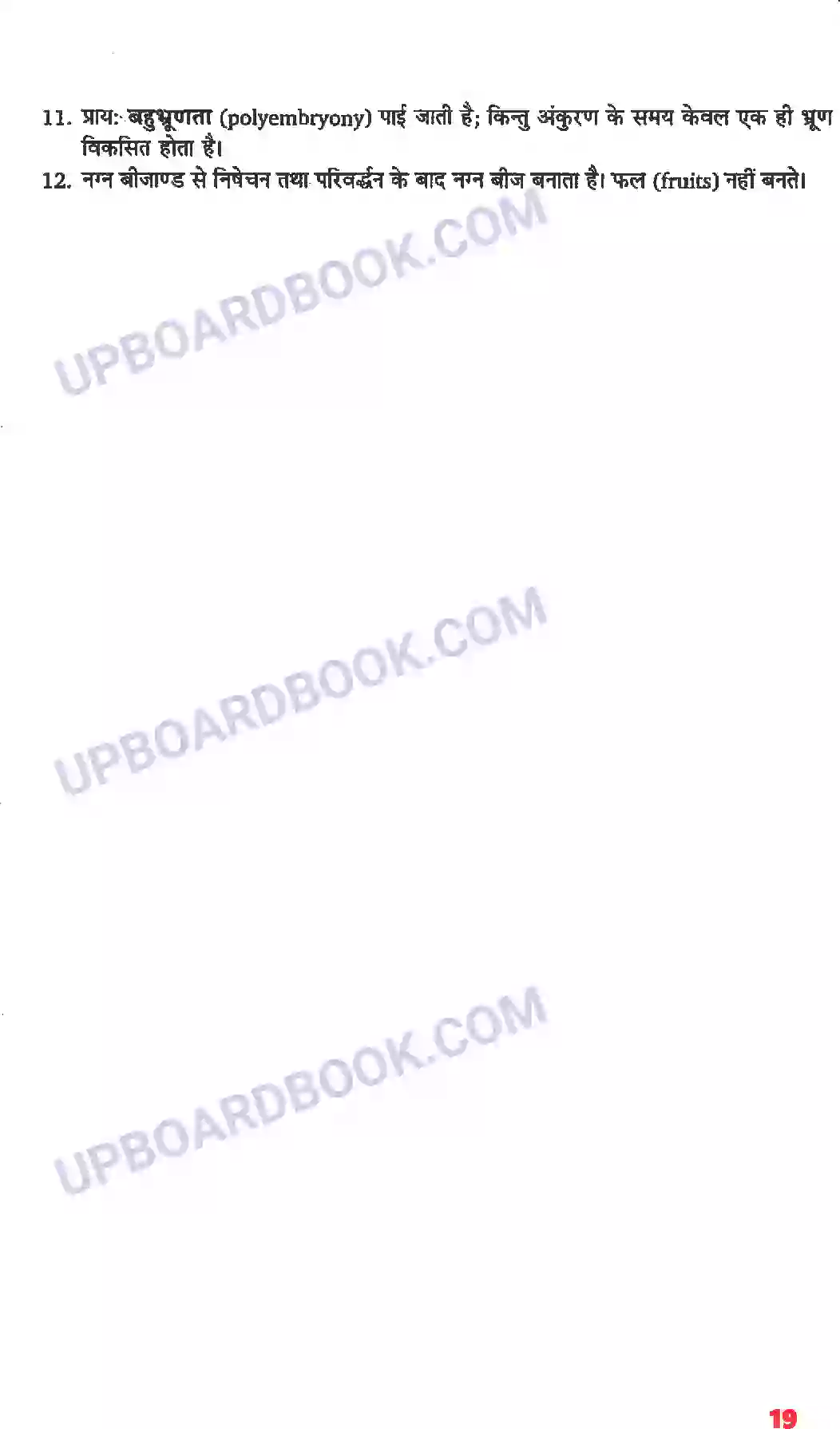 UP Board Solution class 11 Biology 3. वनस्पति जगत Image 8