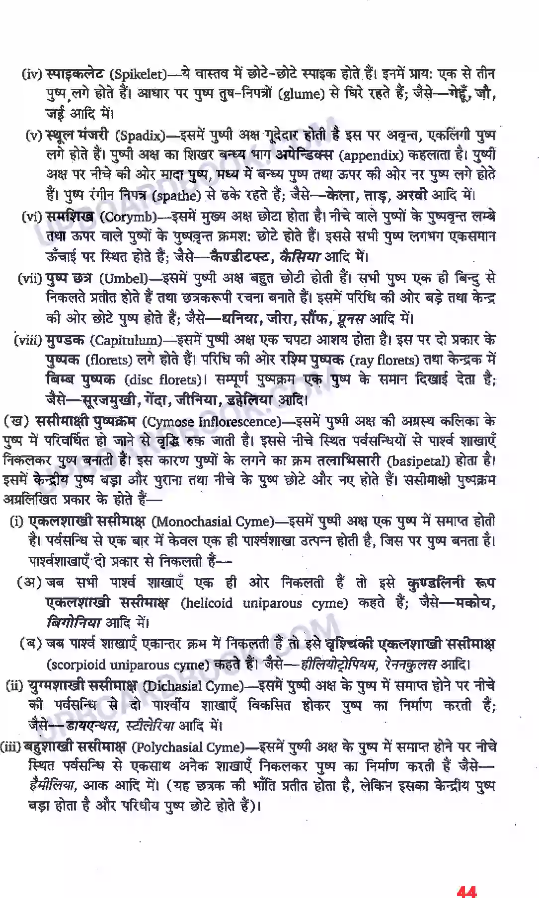 UP Board Solution Class 11 Biology 5. पुष्पी पादपों की आकारिकी Image 22