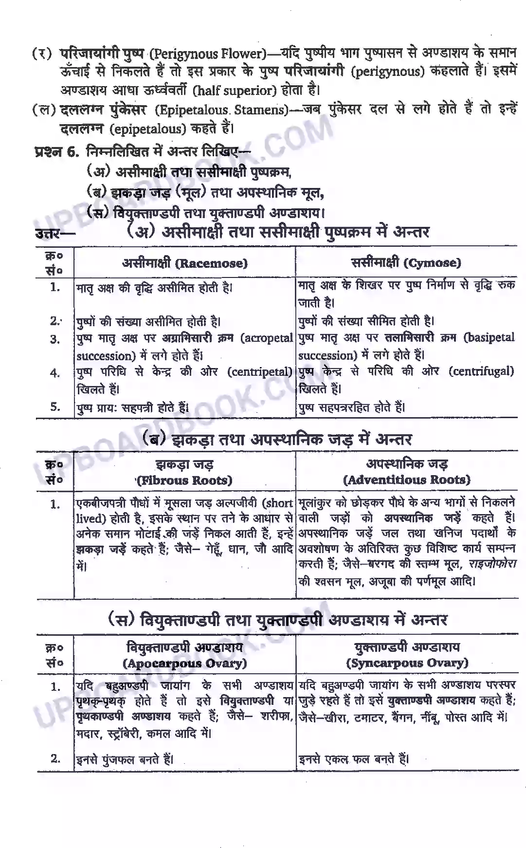 UP Board Solution Class 11 Biology 5. पुष्पी पादपों की आकारिकी Image 5