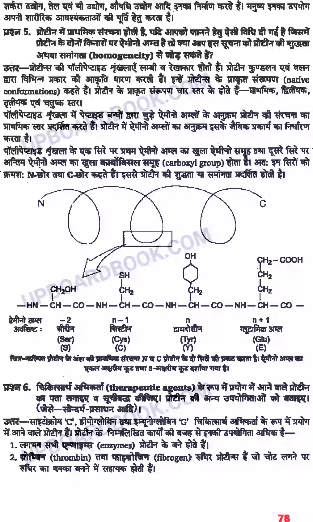 UP Board Solution class 11 Biology 9. जैव अणु Image 3