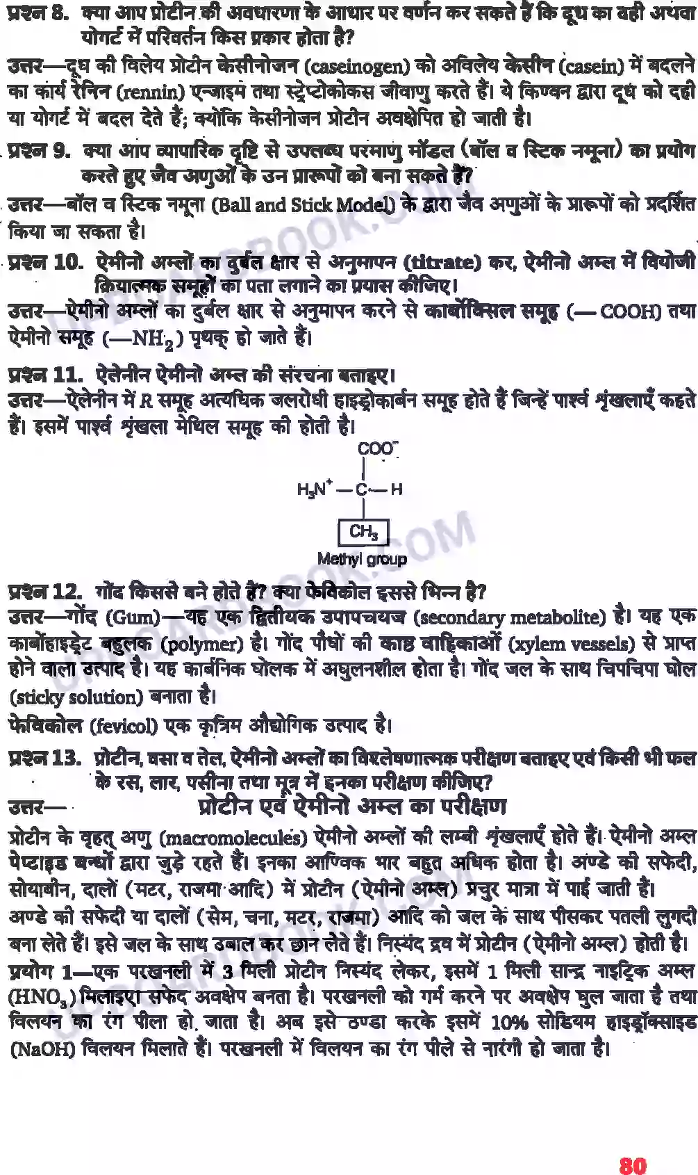 UP Board Solution class 11 Biology 9. जैव अणु Image 5