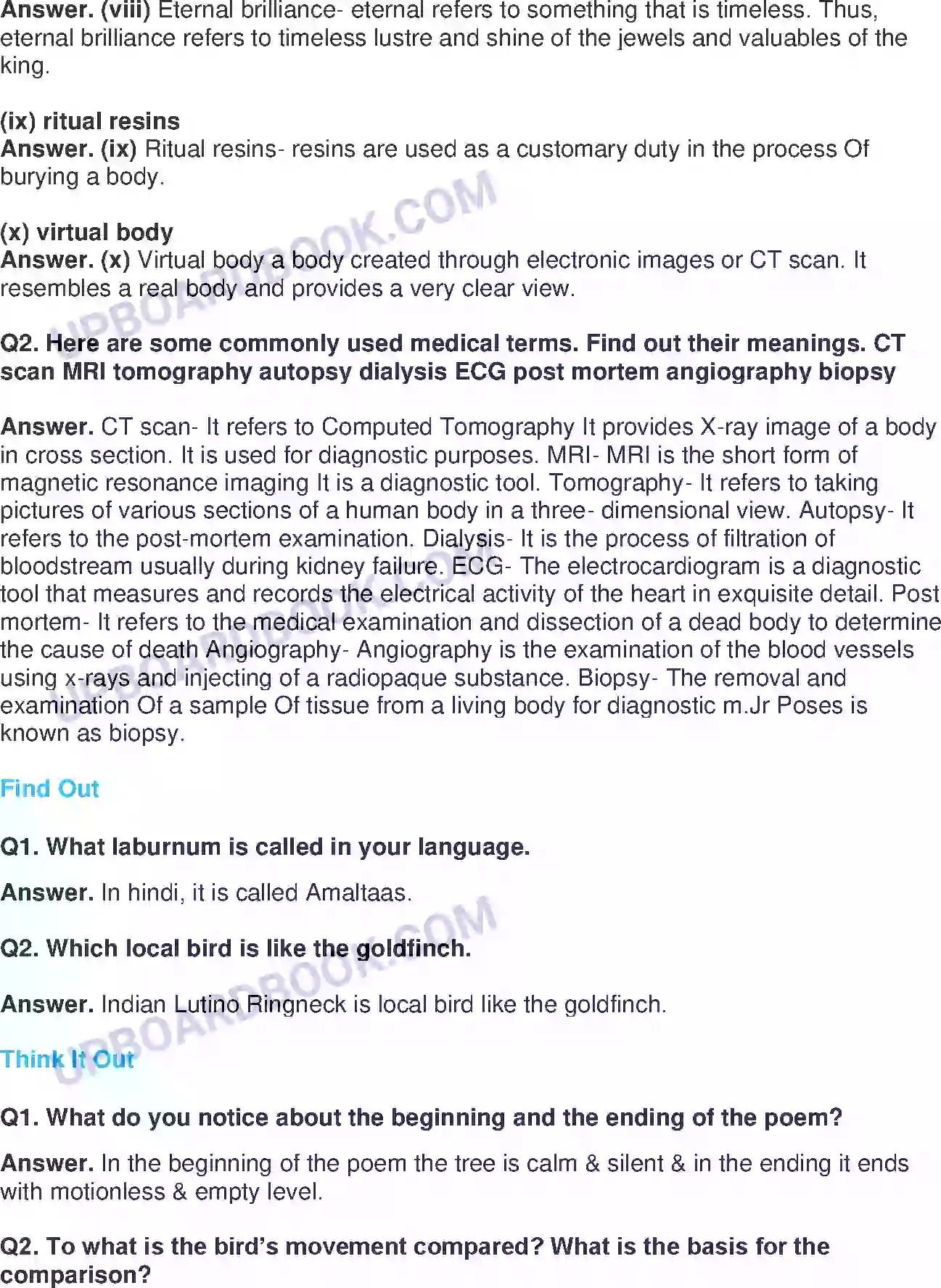 UP Board Solution class 11 English 3. Discovering Tut The Saga Continues Image 4