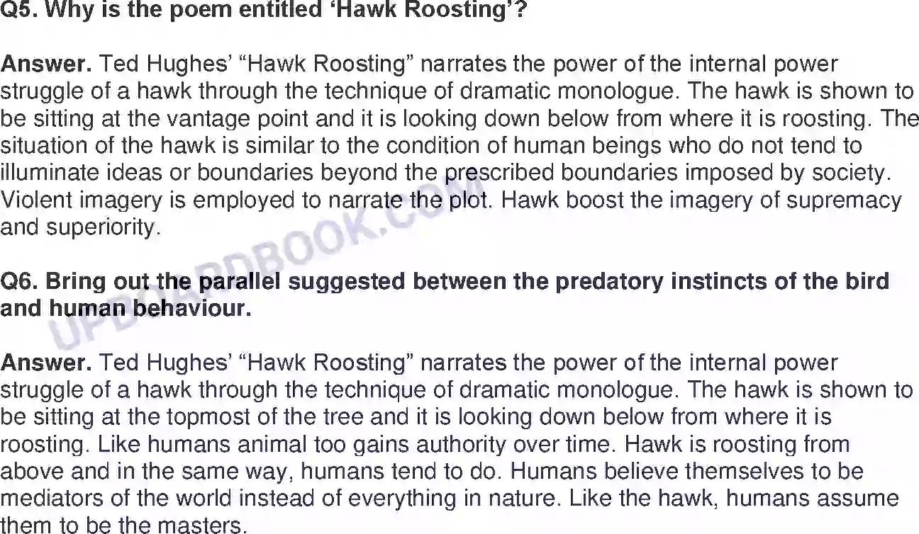 UP Board Solution class 11 English 15. Hawk Roosting - (Poetry) Image 2