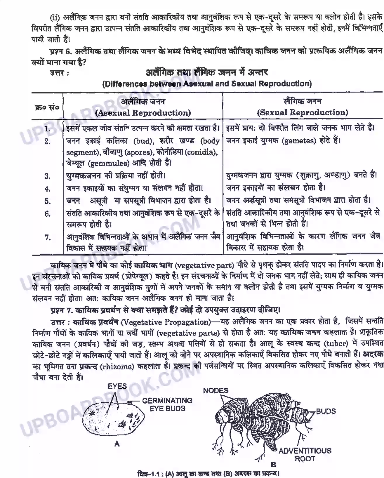 UP Board class 12 Biology 1. जीवों में जनन Solution PDF - UPBoardBook