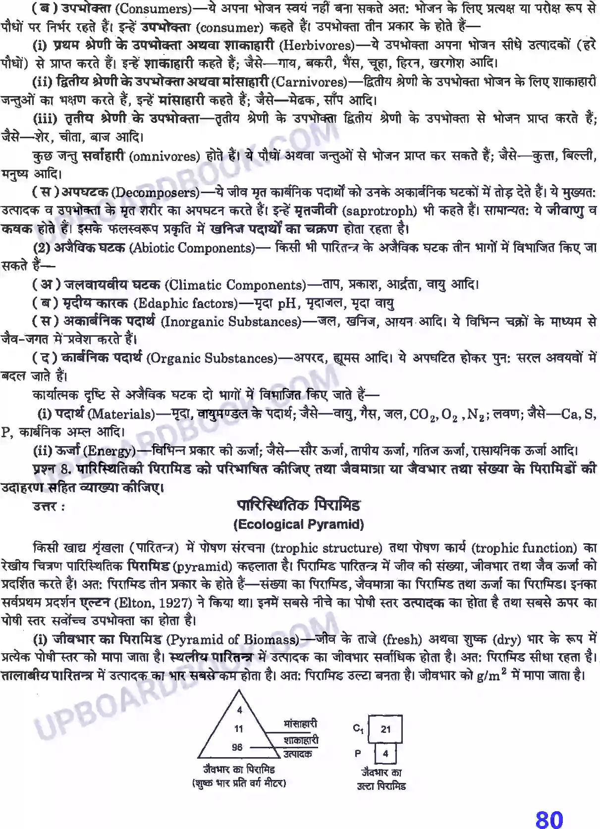 UP Board Solution Class 12 Biology 14. पारितंत्र Image 4