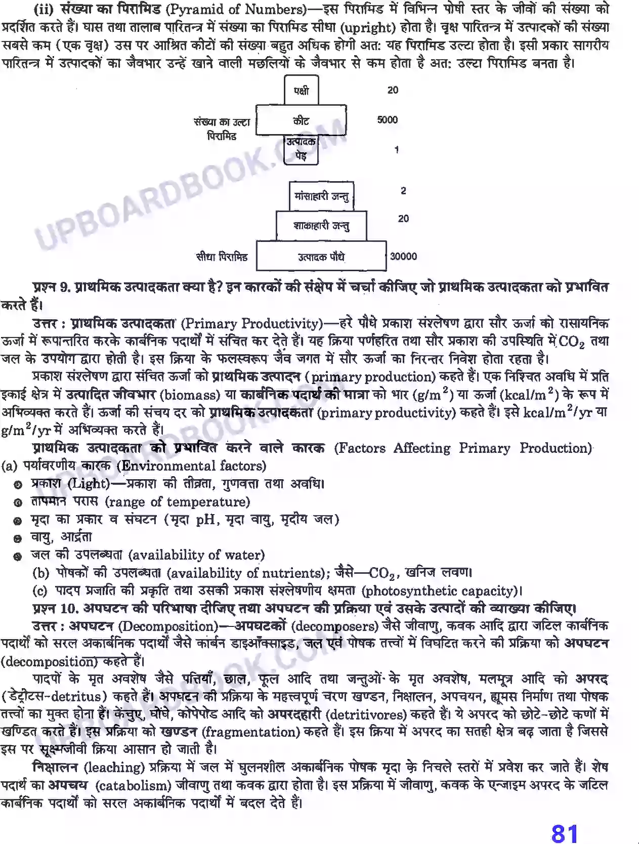 UP Board Solution Class 12 Biology 14. पारितंत्र Image 5