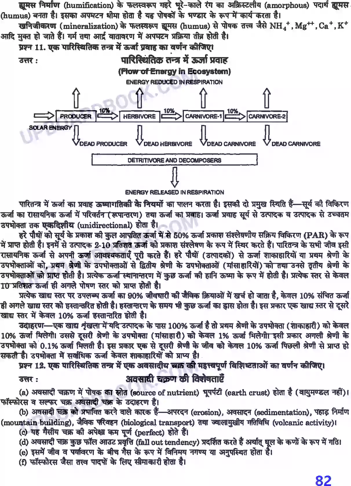 UP Board Solution Class 12 Biology 14. पारितंत्र Image 6