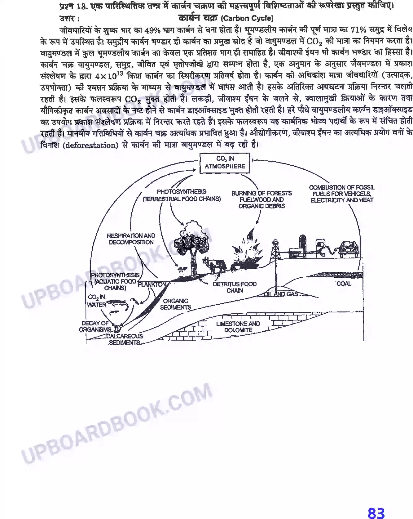 UP Board Solution Class 12 Biology 14. पारितंत्र Image 7