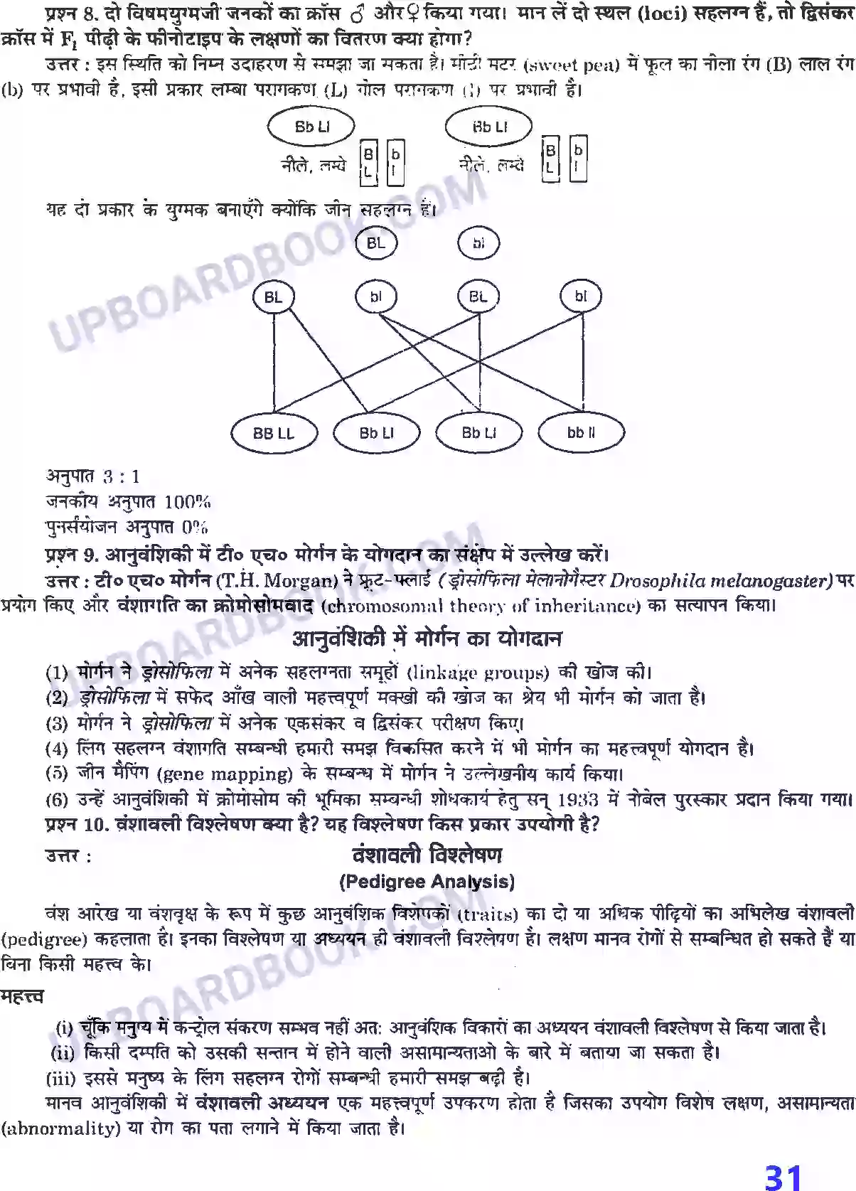 UP Board Solution class 12 Biology 5. वंशागति तथा विविधता के सिद्धांत Image 5