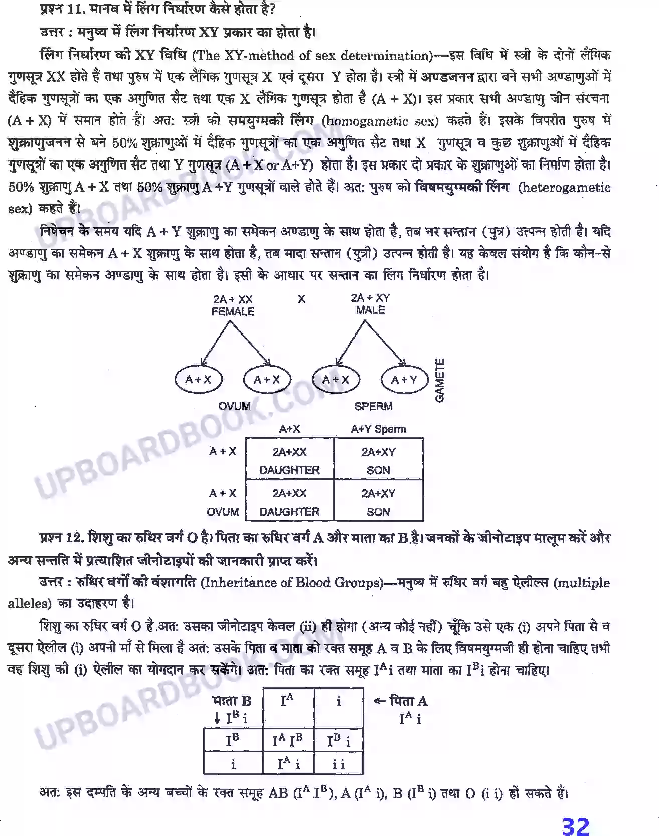 UP Board Solution class 12 Biology 5. वंशागति तथा विविधता के सिद्धांत Image 6