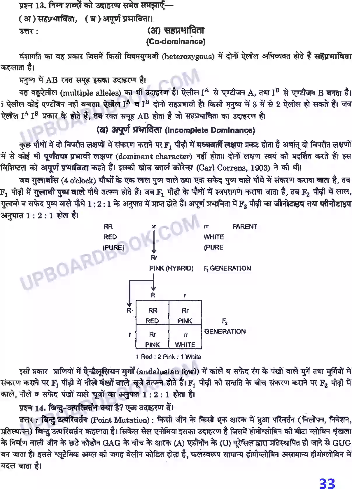 UP Board Solution class 12 Biology 5. वंशागति तथा विविधता के सिद्धांत Image 7