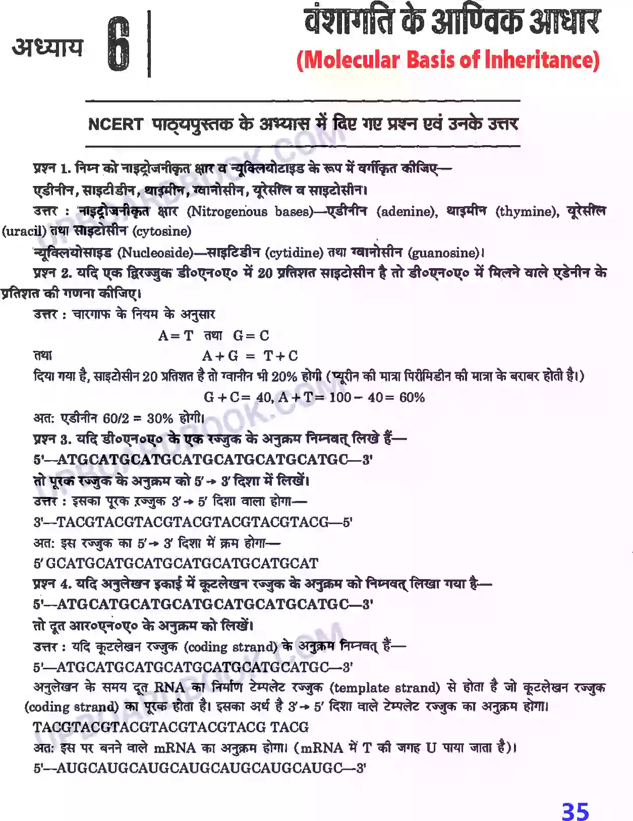 UP Board Solution Class 12 Biology 6. वंशागति के आण्विक आधार Image 1